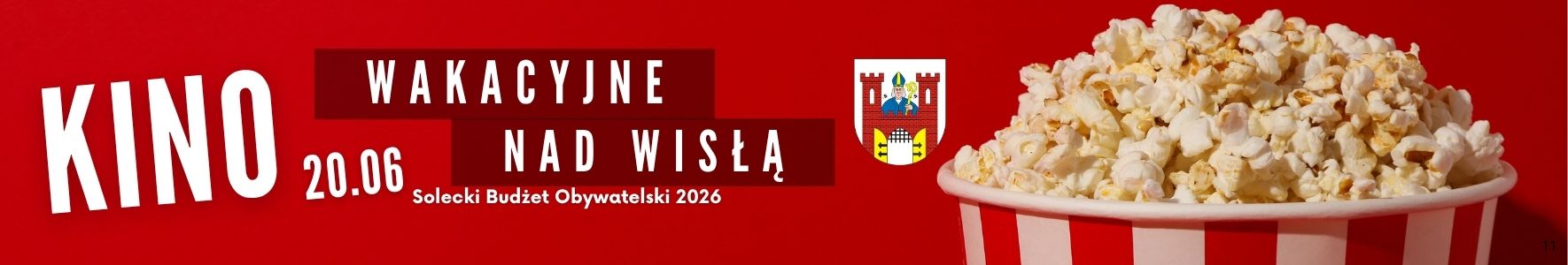 Panorama Solec Kujawski