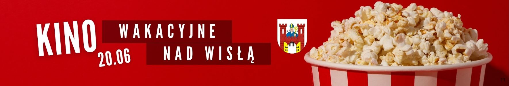 Panorama Solec Kujawski