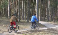 Dwaj rowerzyści na leśnej ścieżce.
