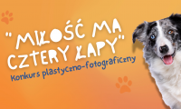 Konkurs plastyczno-fotograficzny „Miłość ma cztery łapy”
