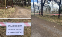 Kilka zdjęć z parku - drzewostan, alejki wytyczone biało-czerwoną taśmą i tekst Zakaz wstępu