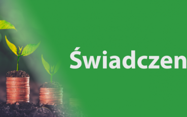 Słupki ułożone z monet, z których wyrastają rośliny. Na zielonym tle napis Świadczenia.