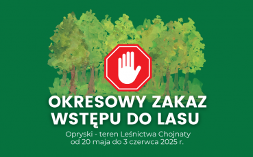 Zakaz wstępu do lasu – zabiegi ratownicze przeciwko brudnicy mniszce