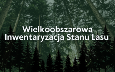 Wielkoobszarowa Inwentaryzacja Stanu Lasu 