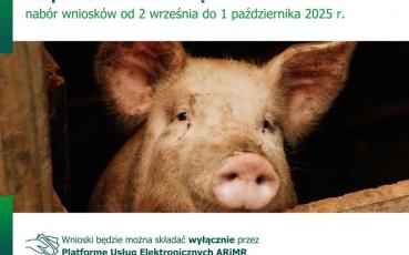 Inwestycje zapobiegające rozprzestrzenianiu się ASF