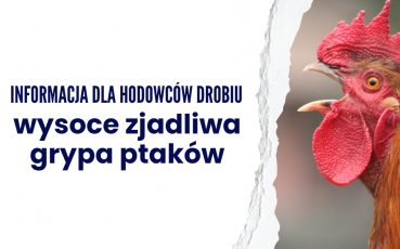 Informacja dla hodowców drobiu - wysoce zjadliwa grypa ptaków.