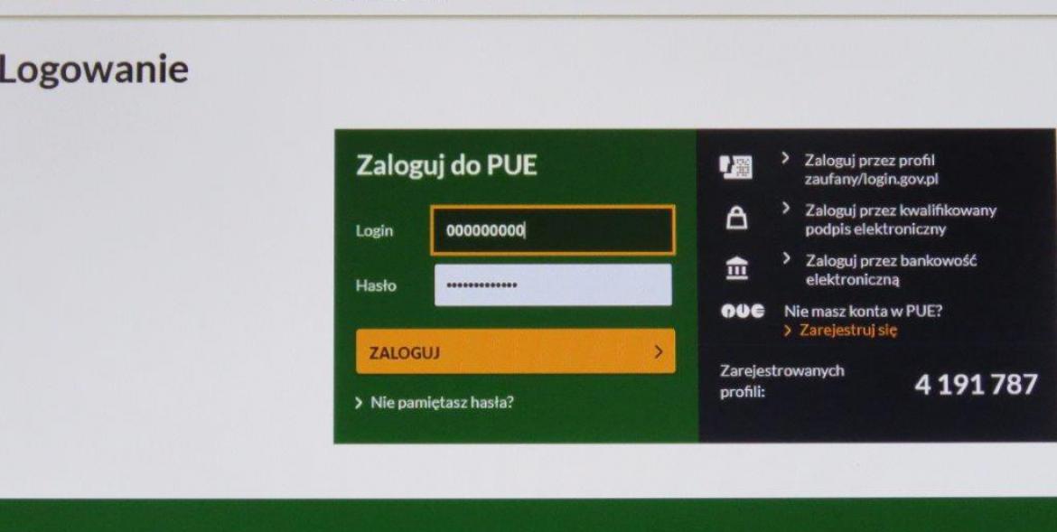 Platforma Usług Elektronicznych (PUE) ZUS