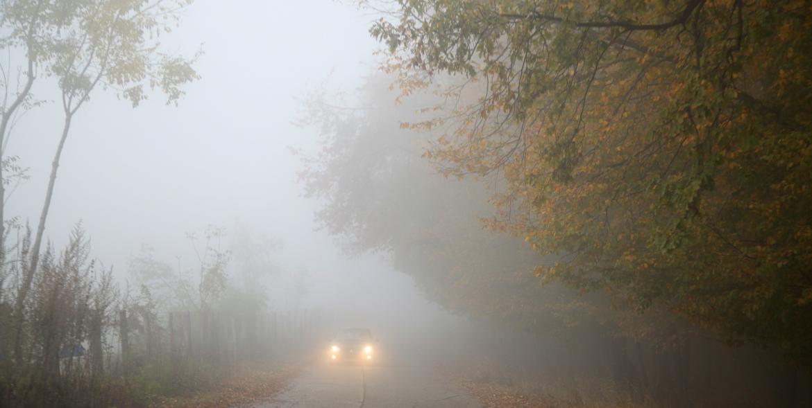 Samochód we mgle.