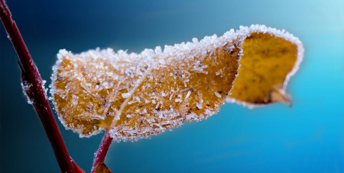 Ostrzeżenie meteorologiczne - oblodzenie