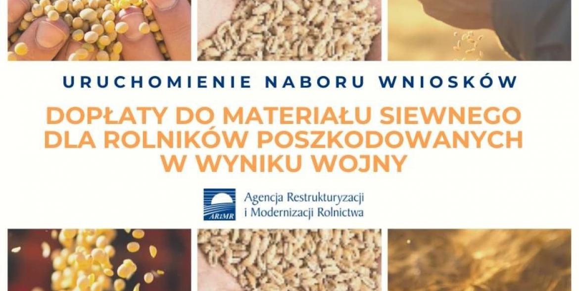 Materiał siewny - pomoc związana z kryzysem wojennym