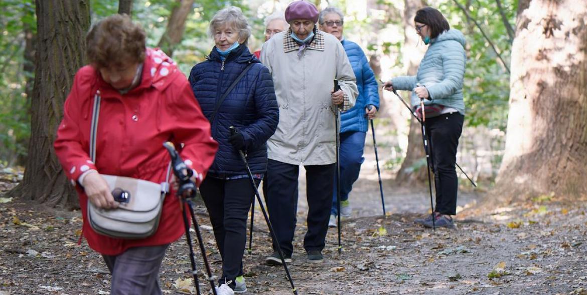 Seniorzy z kijkami na leśnej ścieżce.