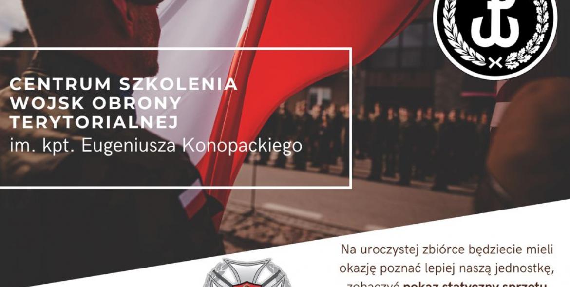 Fragment plakatu - żołnierz na tle biało-czerwonej flagi i  symbole WOT.