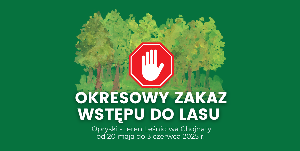 Zakaz wstępu do lasu – zabiegi ratownicze przeciwko brudnicy mniszce