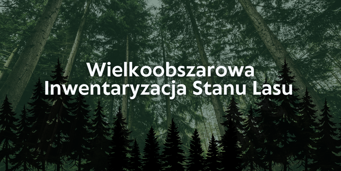 Wielkoobszarowa Inwentaryzacja Stanu Lasu 