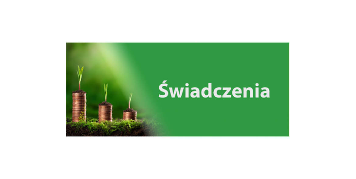 Grafika - na zielonym tle trzy słupki z monet, z których wyrastają zielone gałązki oraz napis świadczenia