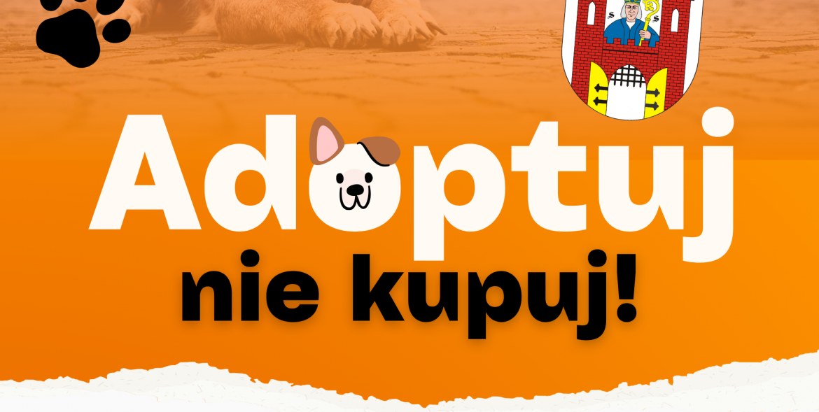 Konkurs "Adoptuj nie kupuj"