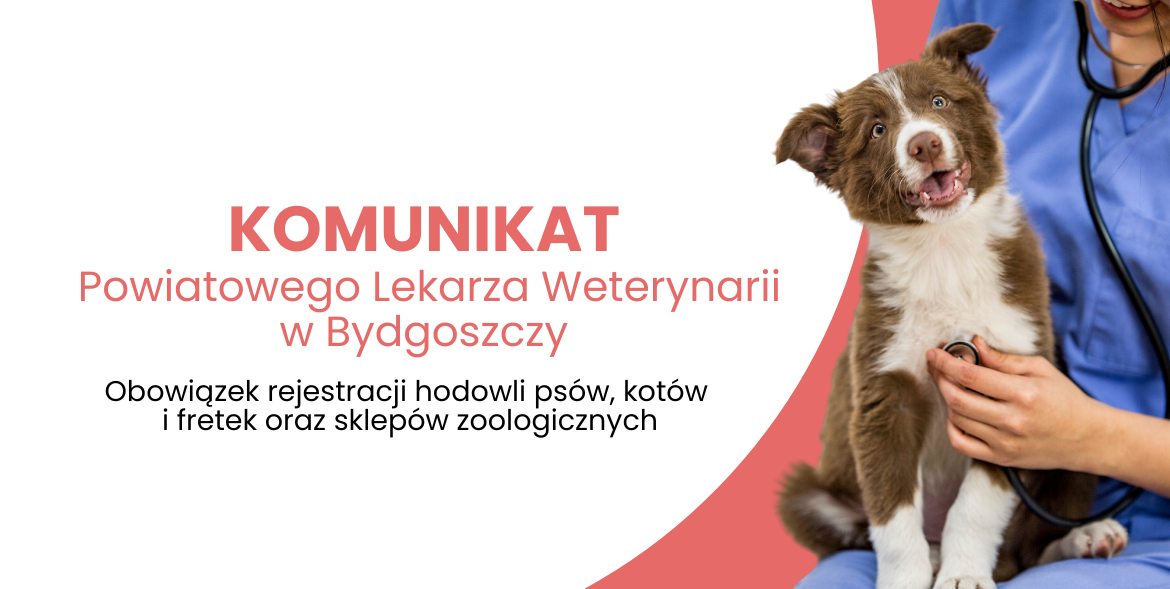 Obowiązek rejestracji hodowli psów, kotów i fretek oraz sklepów zoologicznych