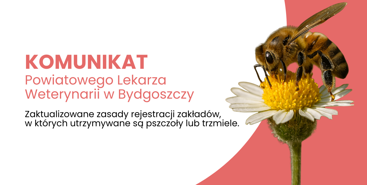 Obowiązek rejestracji zakładów, w których utrzymywane są pszczoły lub trzmiele
