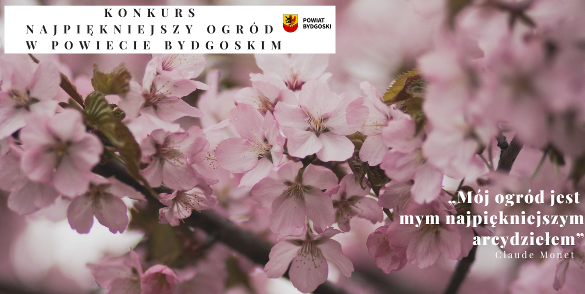 Najpiękniejszy Ogród w Powiecie Bydgoskim