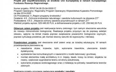 Stworzenie stref zieleni miejskiej przy ul. 23 Stycznia, przy Rondzie im. Burmistrza Antoniego Nawrockiego w Solcu Kujawskim