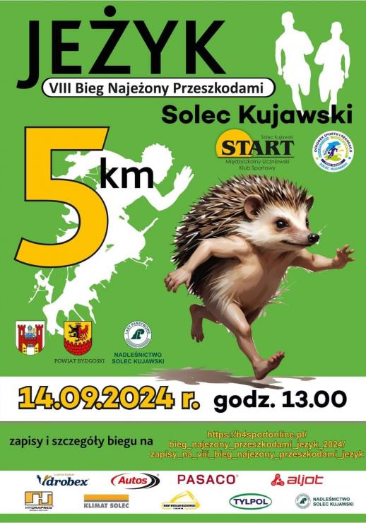 Plakat Jeżyk bieg najeżony przeszkodami