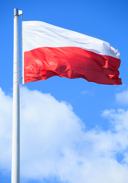 Narodowy Dzień Zwycięstwa i Święto Patrona Miasta