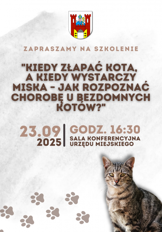 Szkolenie dla mieszkańców – jak pomagać bezdomnym kotom