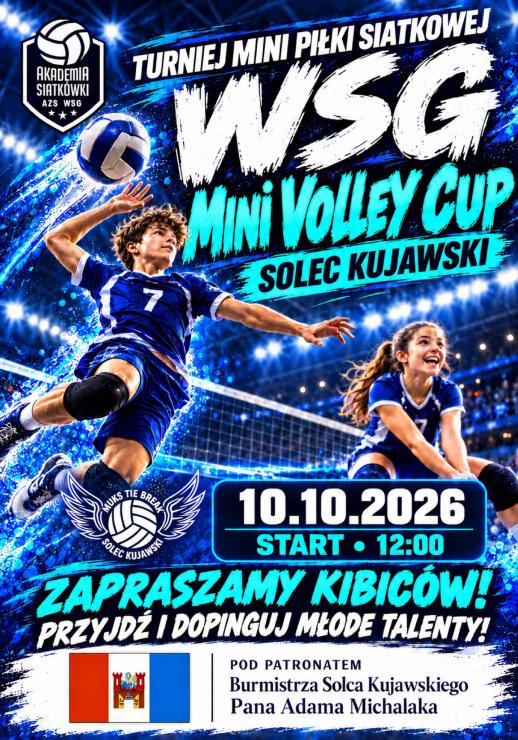 Turnieju mini piłki siatkowej 
