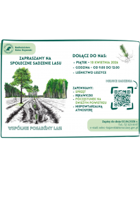  Społeczne sadzenie lasu