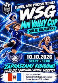 Turnieju mini piłki siatkowej 