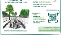  Społeczne sadzenie lasu